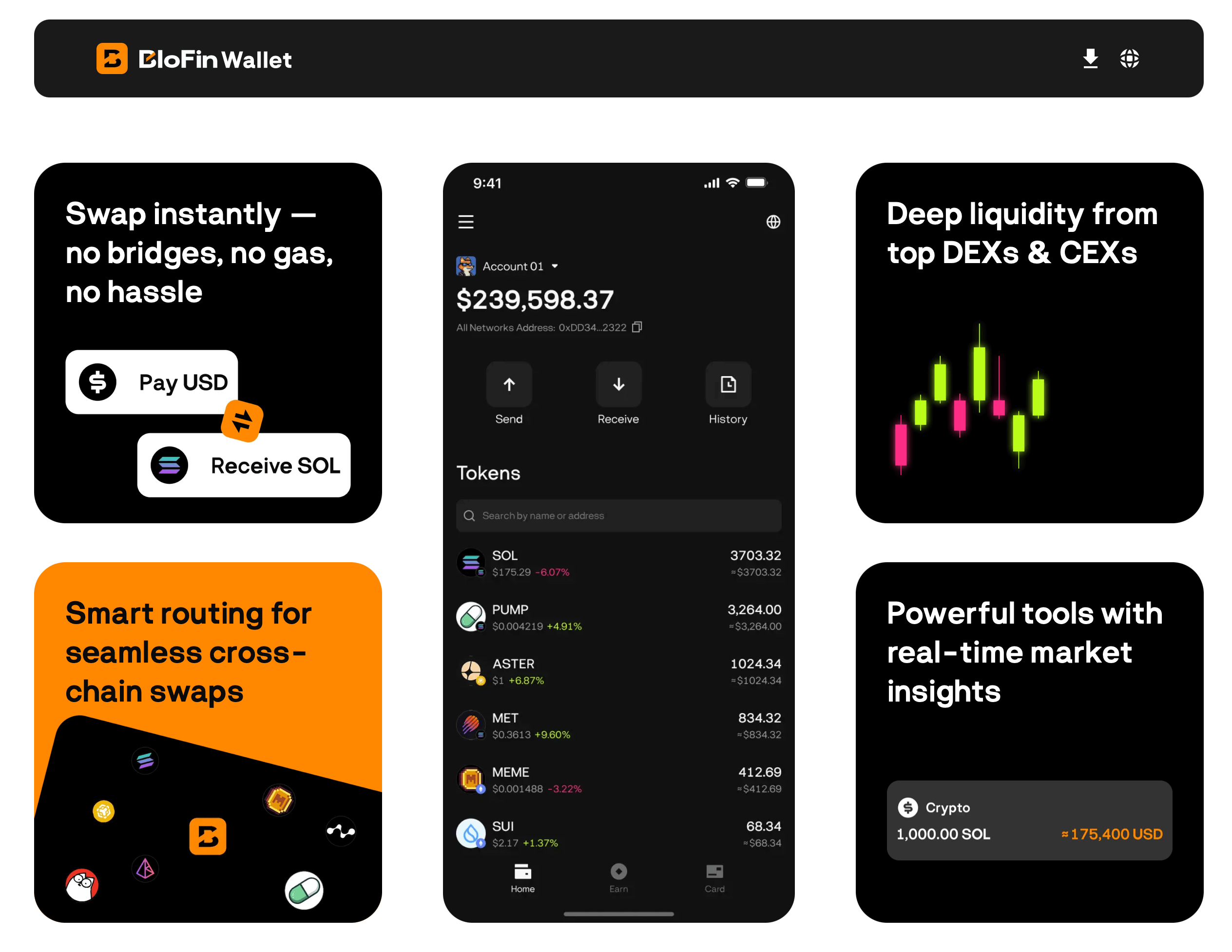 Blofin Web3 Decentralized Wallet Interface